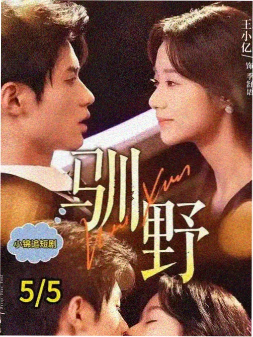 刑侦剧集第七份档案